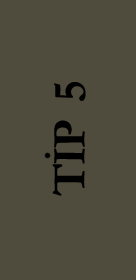 Tip 5