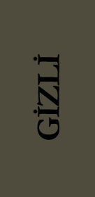 Gizli