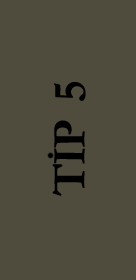 Tip 5