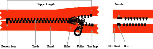 Structure of Zipper